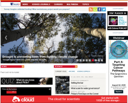 The online journal features an engaging, user-friendly interface. 